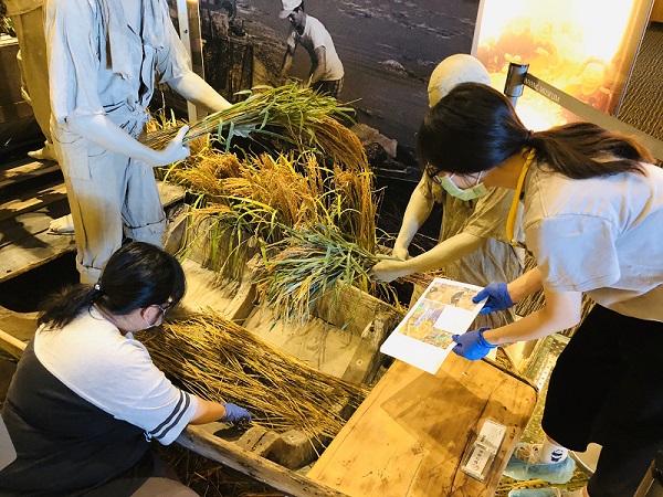 協助放置清潔完的稻草展品