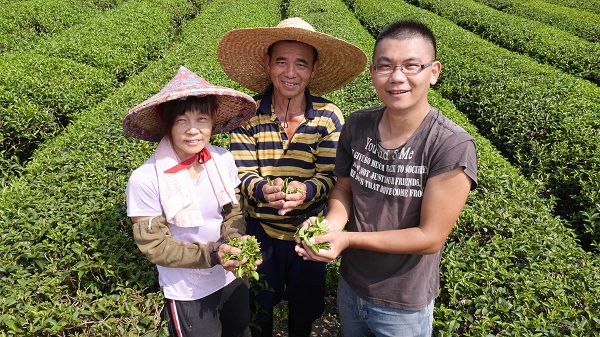 正福茶園透過風土風味的白話說明，讓消費者簡易了解宜蘭茶的概念。