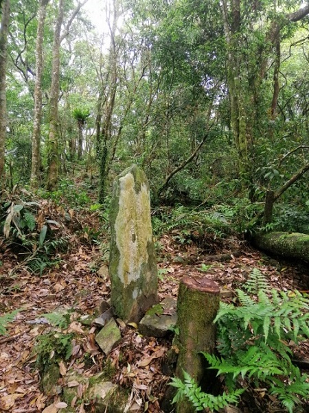 志水孫平碑附近地貌現況