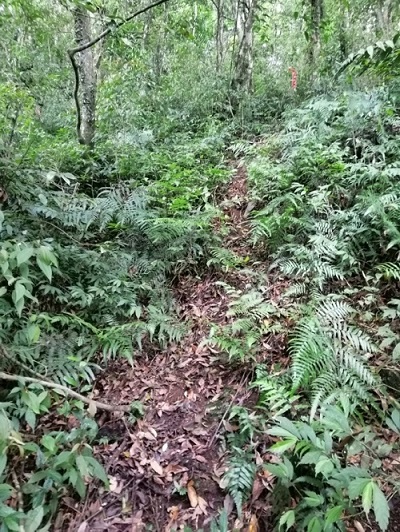 志水孫平碑附近之隘路