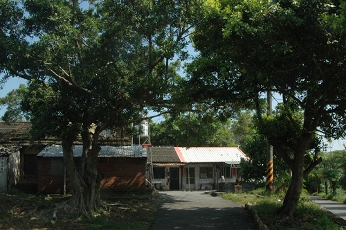 民國四十四年，政府於東港興建仁愛新村，將大陳島撤退居民安置於此，隨著二代居民遷出，村子平日罕見人跡。