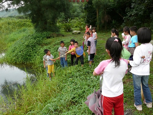 自然觀察社帶領無尾港當地孩童以手抄網於水域周邊撈取稚蟲進行觀察