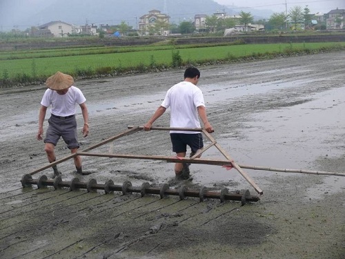 濕地保育