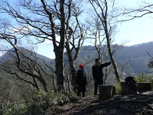 亞普拉塞，山毛櫸國家步道終點山頭，一月份的山毛櫸葉已落盡，仍存蒼勁的枝幹