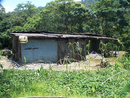 砲臺山前五星級工寮，前方即為菜園