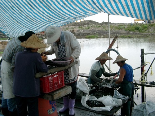 土壤清洗過篩文化遺物