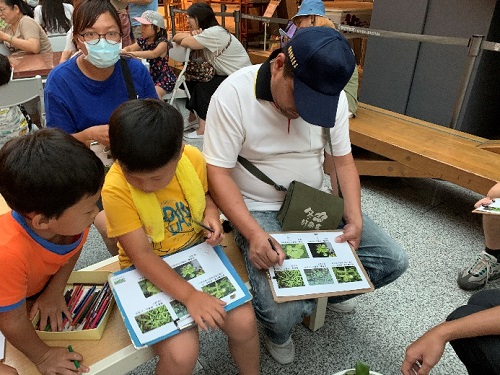 雙連埤生態教室帶領小朋友們認識水生植物