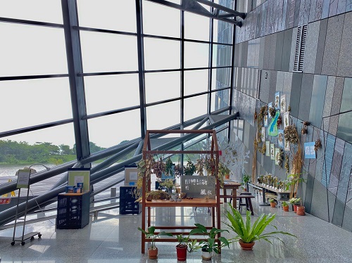 「蘭博植物 看 風水」植物展覽，從這些植物裡，你感受到了嗎？這就是蘭博濕地豐富的樣貌呀！