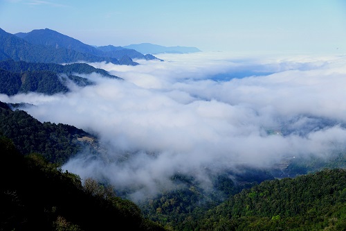 海拔1948公尺的思源埡口，座擁獨特地形與氣候條件，也是多種動植物繁衍的重要環境。
