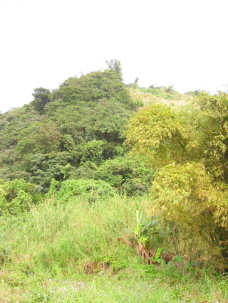 周振東宅據說位處於「獅咬球」的吉祥穴位