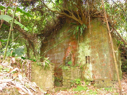 高度約有兩層樓高的周宅銃櫃