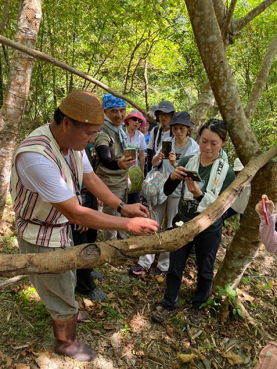 部落耆老帶領館員了解陷阱的製作技巧