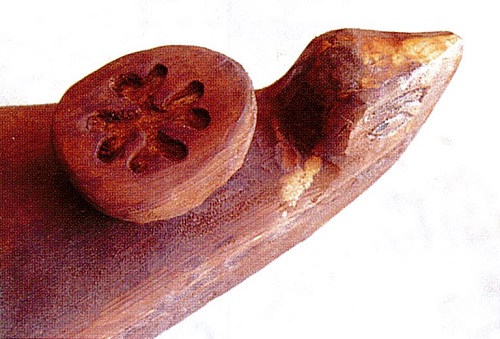 獨木舟曾是噶瑪蘭族重要的海上交通工具。