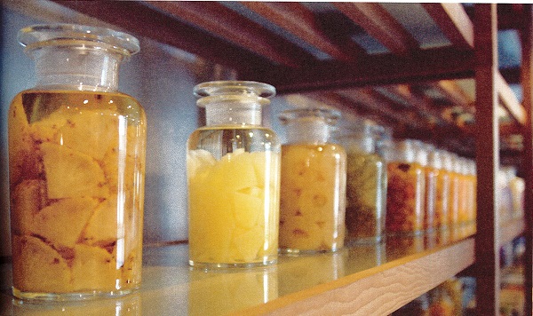 玻璃罐裡裝著各式水果風味的蜜餞