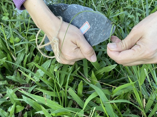 學員們拿著自製的石刀，至博物館外的濕地公園練習割草。