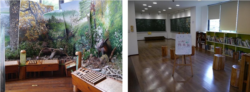 左圖：1樓森林生態系展示空間，2019年攝。 / 右圖：2樓圖書閱讀區，2019年攝。