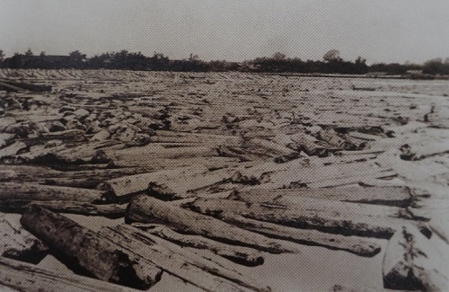 員山貯木池水池面積約3萬坪，另有7,500坪的陸上貯木場，1929年(昭和4)年攝。行政院農業委員會林務局羅東林區管理處提供