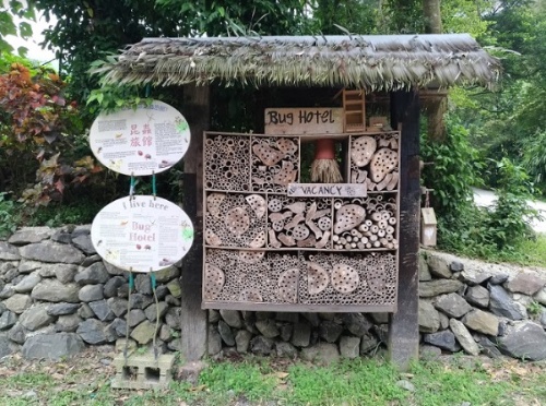 夏令營課程之一幫昆蟲蓋個家，2019年摄。