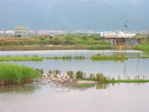 056期主視覺-宜蘭地區沿海地帶的塭與其特殊的產業經濟