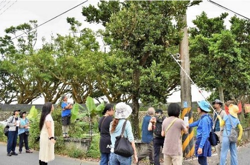 《宜蘭縣植物顏色踏查》—濱海台 2 線