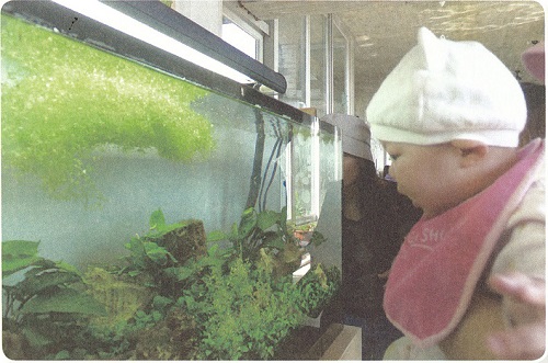 引導遊客情境式的解說是勝洋轉型著力的重點