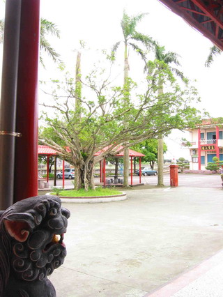 慈雲寺廣場右側的大榕樹下土地所有權屬慈安寺