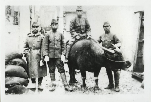 右握牛角者為加入台灣義勇團的李榮春，攝於南京。