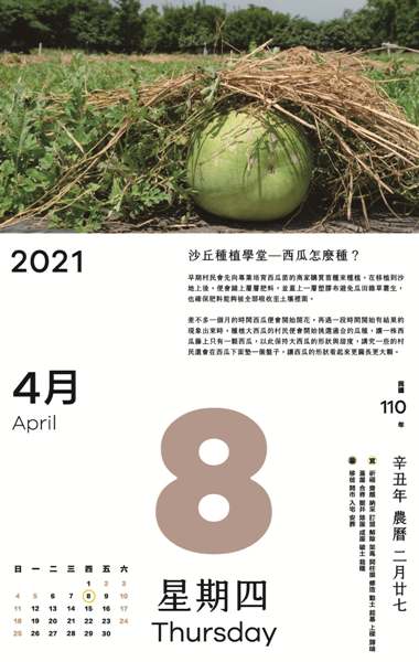 種植大西瓜的村民便會開始挑選適合的瓜種，讓一株西瓜藤上只有一顆西瓜。