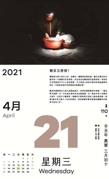 鰻苗的捕撈都在日落之後開始進行，最後將鰻苗賣到週邊收購鰻苗的買家才結束工作。