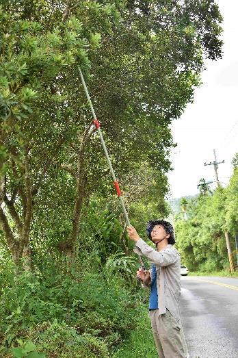 《宜蘭縣植物顏色踏查》—林美產業道路