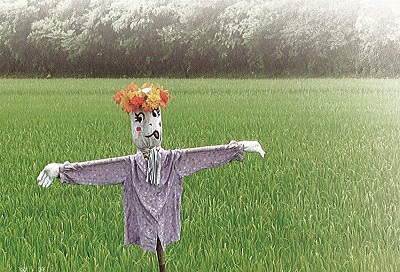 在珍珠社區附近的稻田，尚未收割時總可以看到佇立在田中的稻草人。