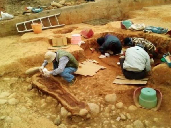 安和遺址搶救發掘現場。