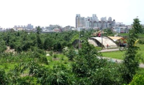 機堡與麻竹林地景環境