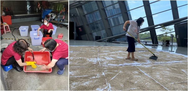 左圖：將探坑內的砂子運送至卸貨區，用清水淘洗濾淨雜質。/ 右圖：同仁們將砂子平鋪在尼龍布上，而為了曬乾均勻以農夫曬稻工具爬梳平整。