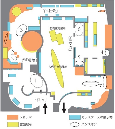 兵庫縣立考古博物館主題展示室平面圖