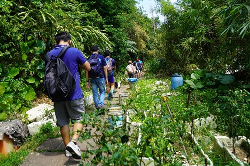 從大溪河濱公園進入龜山里社區的山邊秘徑，可以看到居民的多樣菜園，此道亦是通往草嶺步道健行的入口。