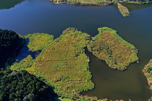 雙連埤中目前有浮島4座，島上是珍稀植物的疪護所。