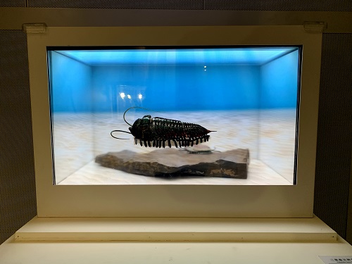 藉由透明螢幕重疊後方的實體化石，重現三葉蟲的生態。