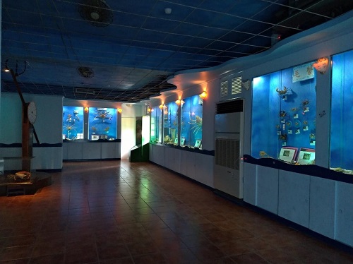 北關螃蟹博物館主要標本區展示空間位於2樓，2019年攝。