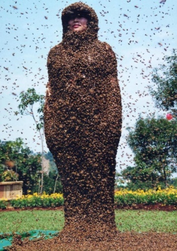 2001年綠色博覽會-蜂采館在武荖坑辦理穿蜂衣活動 / 2001年攝 / 蜂采館提供