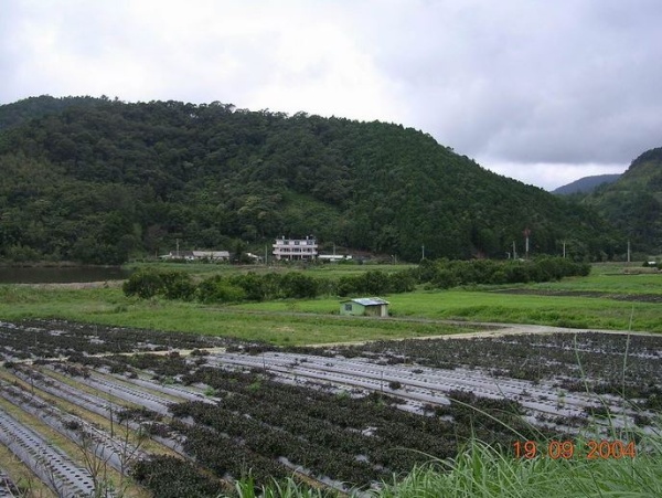 鄒家在百年老屋(左)旁蓋起了水泥洋房(右)