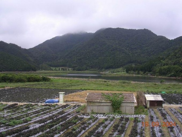 雙連埤生態保育成果漸漸展現