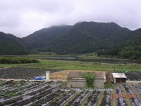 雙連埤的過往今昔：客家移民歷史及居民現況