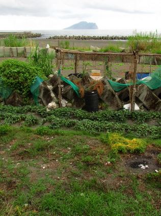 儘管早期大坑罟移民不以農耕維生，但沙丘地帶都有數公尺之高，可種甘藷(莊雅惠 攝)