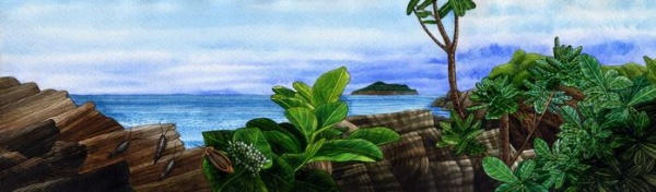 烏石港邊生態示意圖