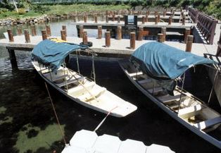 現今復原的鴨母船