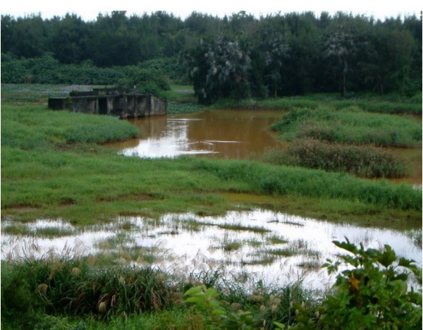 無尾港水鳥保護區
