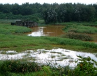 無法透尾的港-無尾港水鳥保護區(一)
