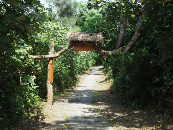 無尾港促進會多年來在這海岸林中，闢建了幾條步道，並不定時地整理除草，得以讓民眾一探這海岸林中豐富的生態