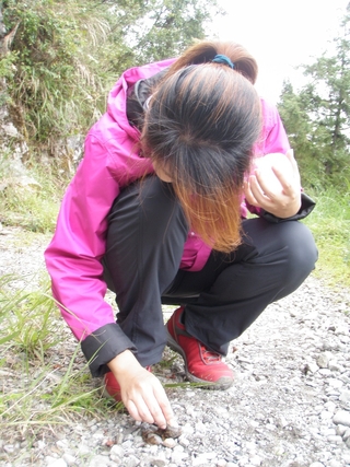 在產業道路進行調查，短短的路程就有許多重大的發現。